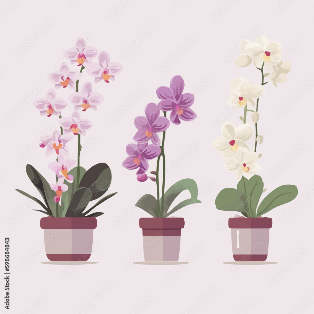 Naklejka premium Collection of intricate orchid illustrations inspired by nature.