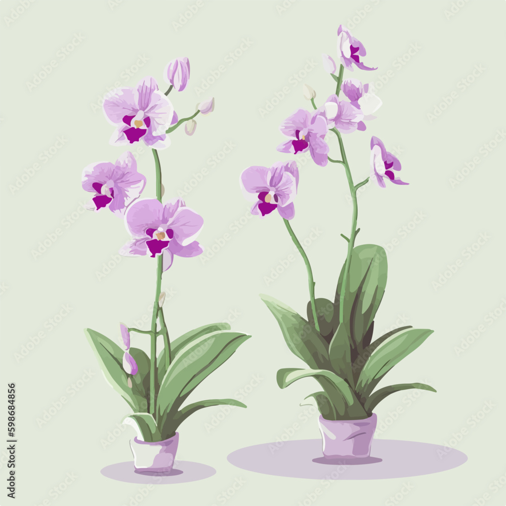 Pack of vibrant orchid patterns for your design needs. Pack of vibrant orchid patterns for your design needs.