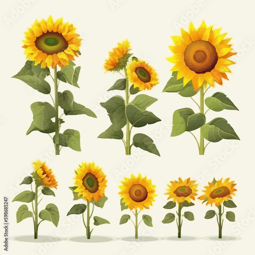 Vector pack featuring a variety of sunflower graphic elements.