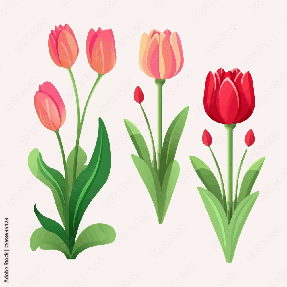 Vector set showcasing the grace and elegance of tulip flowers. Vector set showcasing the grace and elegance of tulip flowers.
