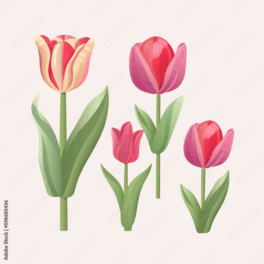 Fototapeta premium Vector pack featuring stunning tulip illustrations.