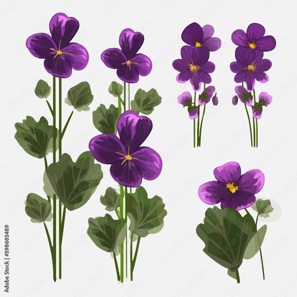 Pack of decorative violet elements for graphic design. Pack of decorative violet elements for graphic design.