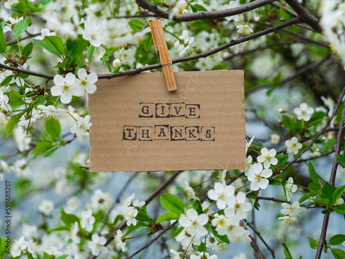 A piece of cardboard with words Give Thanks on it hanging on a cherry tree branch with blossoms using a clothes pin. © rosinka79