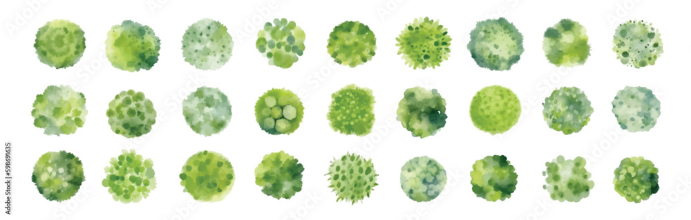 Various green trees, bushes and shrubs, top view for landscape design plan. Vector watercolor illustration, isolated on white background.