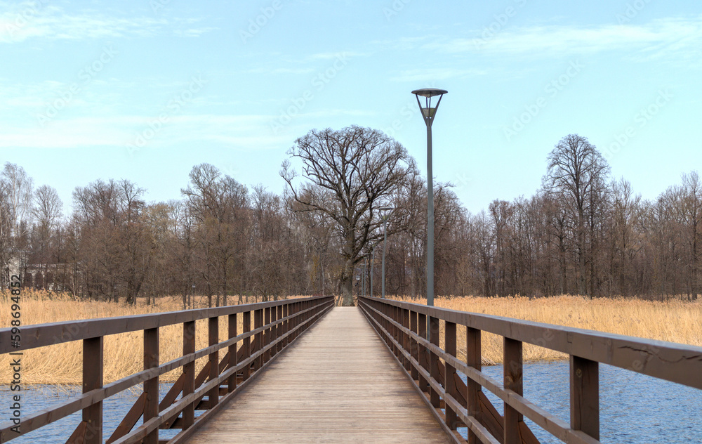 A wooden bridge with a light pole on it and a large tree at the end of the bridge