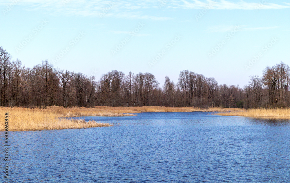 A lake with a blue sky and trees A lake with a blue sky and trees