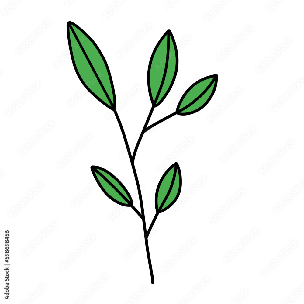 leaf vector green illustrations