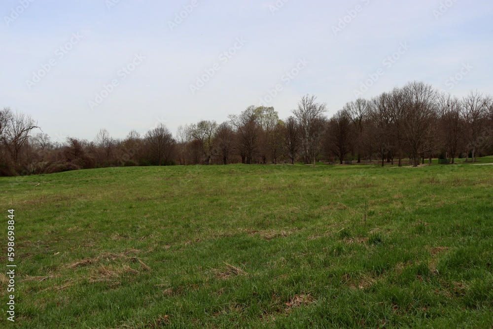 Fototapeta premium The grass country field on a cloudy spring day.
