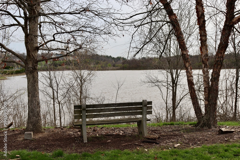 The empty wood bench overlooking the lake in the park. The empty wood bench overlooking the lake in the park.