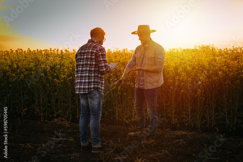 Two farmers analyzing a crop in the field at sunset.