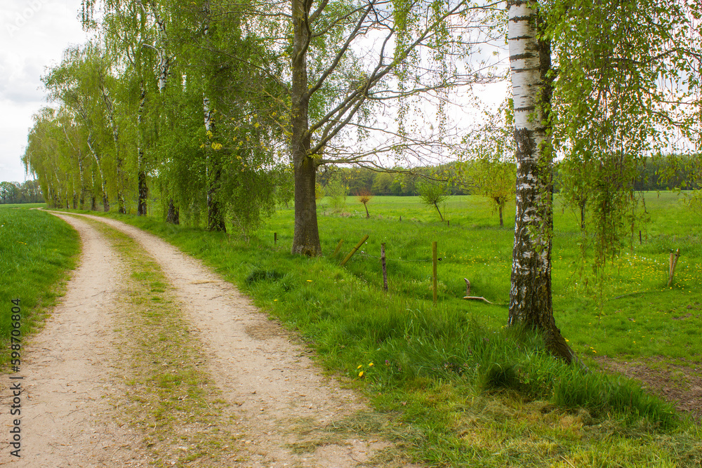 Obraz premium German countryside landscape, Lower Rhine Region, Germany
