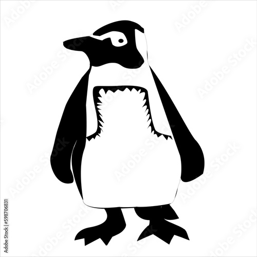 Reino animal aves marinas no voladoras pingüino de Humboldt nombre científico Spheniscus Humboldt