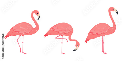 Pink flamingos set. Exotic tropical birds. Cute cartoon flamingos character. Decoration element.Vector illustration © Sun_Lab_Design