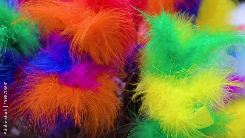 Panning over multi coloured feathers Panning over multi coloured feathers