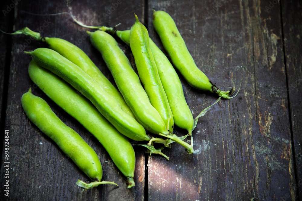 freshly picked green ripe fava beans freshly picked green ripe fava beans