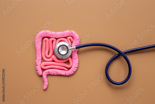 Wallpaper Mural Digestive colon system health concept. Intestines shape made of plasticine with stethoscope Torontodigital.ca