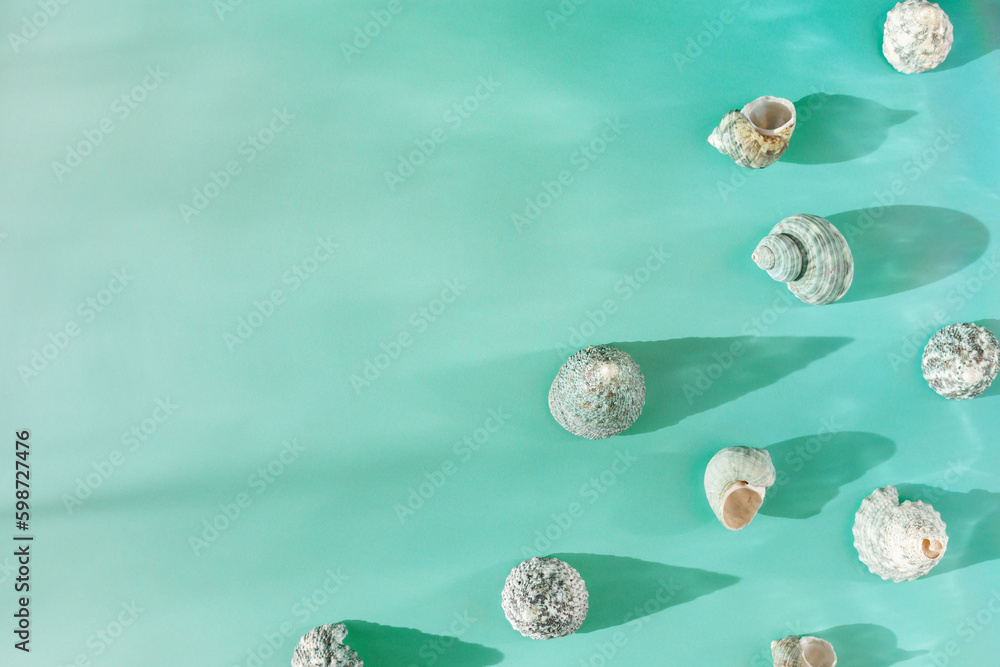 Top view summer background with shells at sunlight, seashell, conch on blue mint colored fon, stylish still life summer sea theme, abstract nature flat lay, copy space, flare from sun, gradient Top view summer background with shells at sunlight, seashell, conch on blue mint colored fon, stylish still life summer sea theme, abstract nature flat lay, copy space, flare from sun, gradient