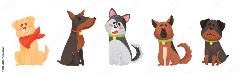 Cute Dog Puppy with Collar as Domestic Pet Vector Set Cute Dog Puppy with Collar as Domestic Pet Vector Set