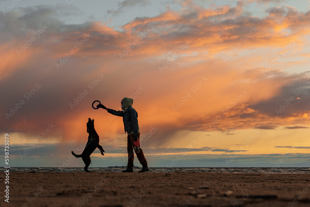 person is playing with dog against background of sunset sky. handler and Labrador retriever train on seashore. woman and pet play and have fun outdoors. friendship is joint pastime Generative AI - obrazy, fototapety, plakaty 