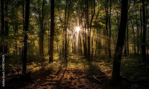  the sun shines through the trees in the forest on a sunny day.  generative ai © Olga