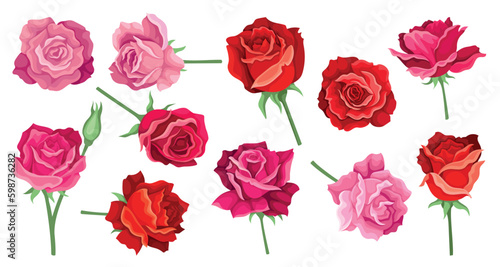 Set of roses