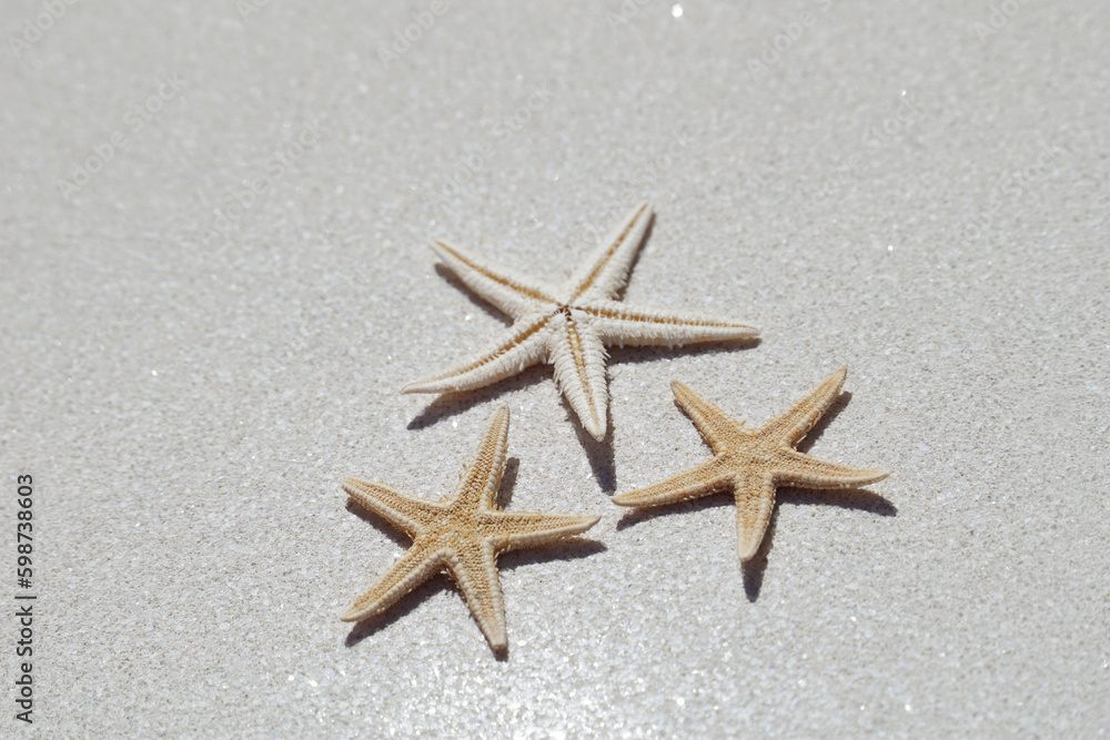 Starfish on a sand-colored background describe the concept of summer and summer vacation Starfish on a sand-colored background describe the concept of summer and summer vacation