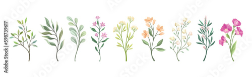 Floral Branches and Twigs with Leafy Stalk or Stem Vector Set