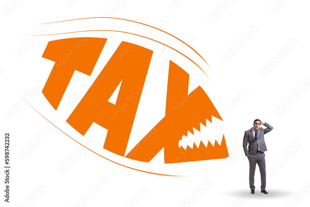 Concept of the tax burden Concept of the tax burden