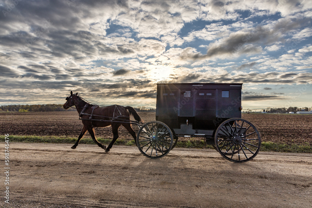 Amish horse and buggy in the early morning on rural dirt road.