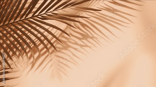 Beautiful abstract banner with green palm leaves shadow beige on white background. Natural leaf concept. Green natural background. Palm tree leaf texture. Summer concept. Abstract floral pattern.