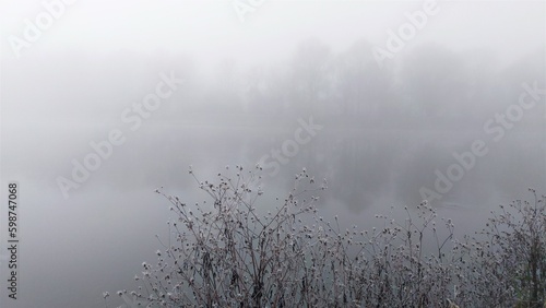 In late autumn, bushes with withered flowers, covered with frost, stand on the riverbank. Everything is shrouded in fog. On the opposite bank, standing trees and their reflections in the river water