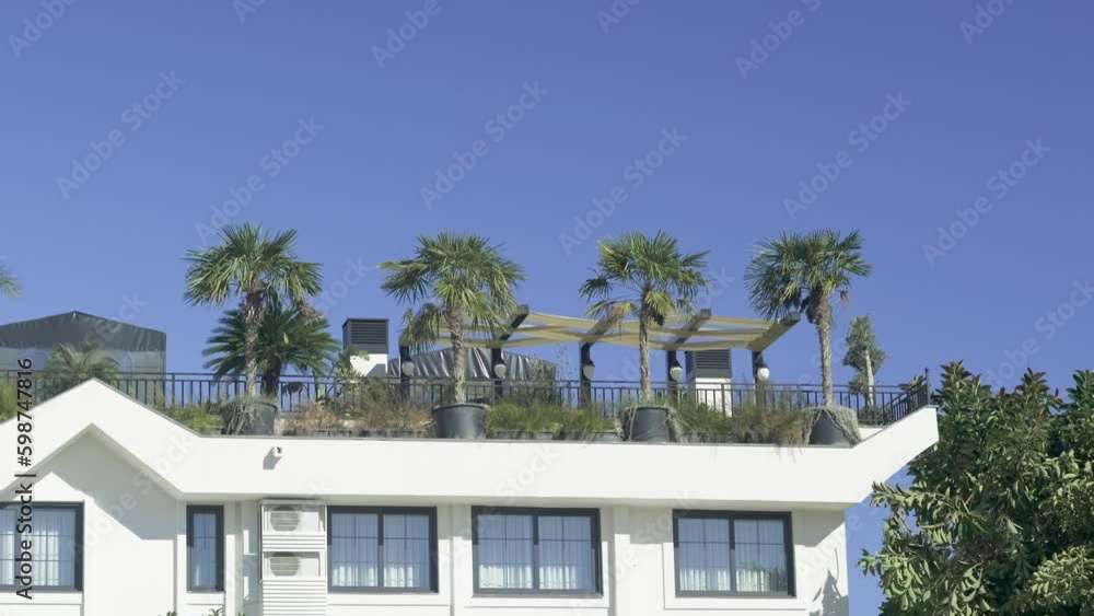 green palm trees on top of hotel, on roof of house, summer vibe, traveling and tropical landscape design. Generative AI green palm trees on top of hotel, on roof of house, summer vibe, traveling and tropical landscape design. Generative AI