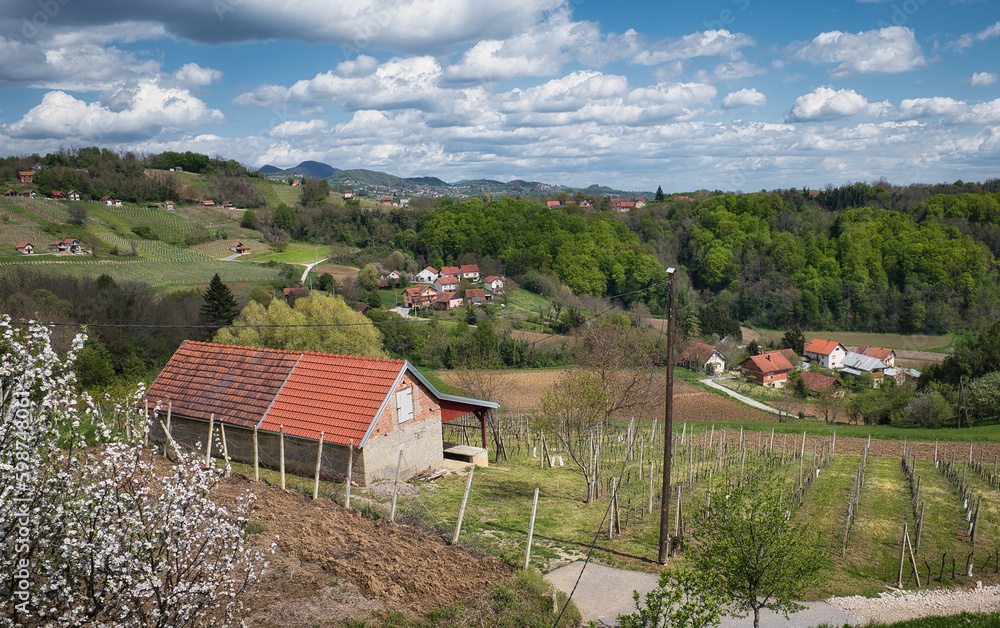 Beautiful rural landscape scenery with vineyards and forest on green hills at Klenice, Croatia, county hrvatsko zagorje 