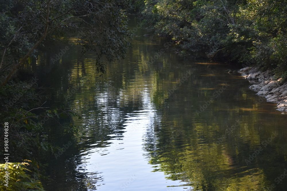 Río y reflejo