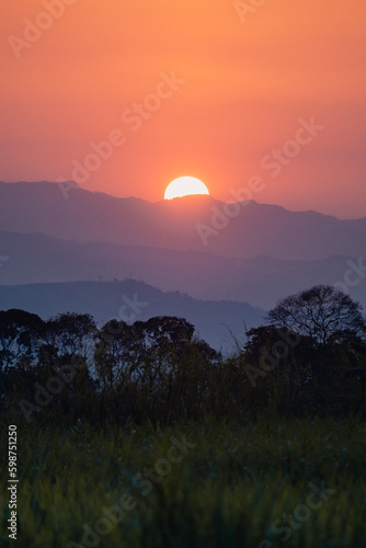 Sunset in the jungle