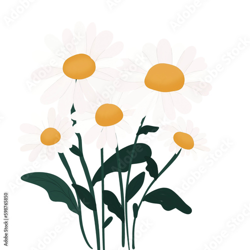 Daisi Flower png photo