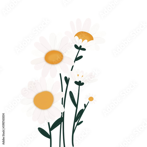 Daisi Flower png photo