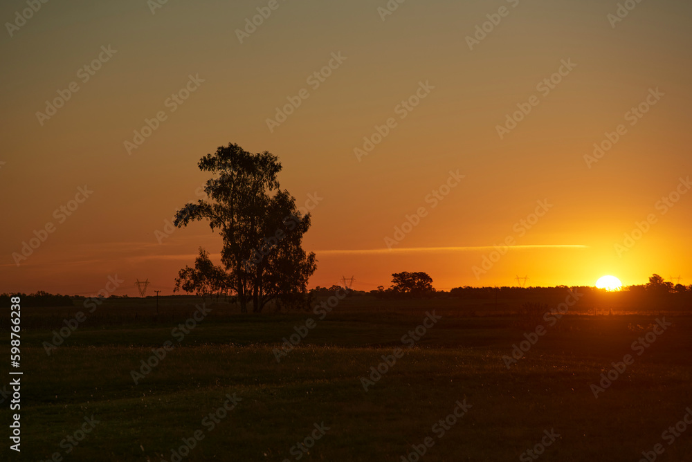 Rural sunset scene, bright orange sky over an Argentinian countryside with the silhouette of a tree in backlight. Concept: the calm and beauty of the everyday in nature.