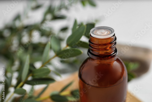 Fototapeta Naklejka Na Ścianę i Meble -  Bottle of eucalyptus essential oil and plant branches against blurred background, closeup. Space for text