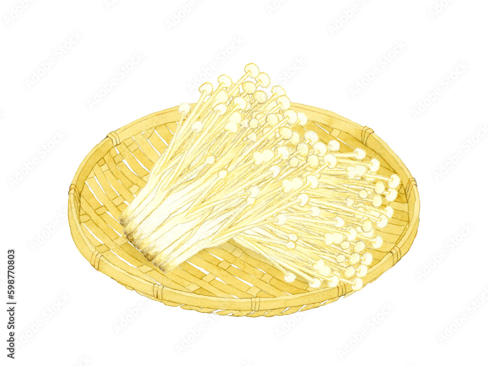 竹ざるに乗ったえのき　きのこの手描き水彩イラスト素材