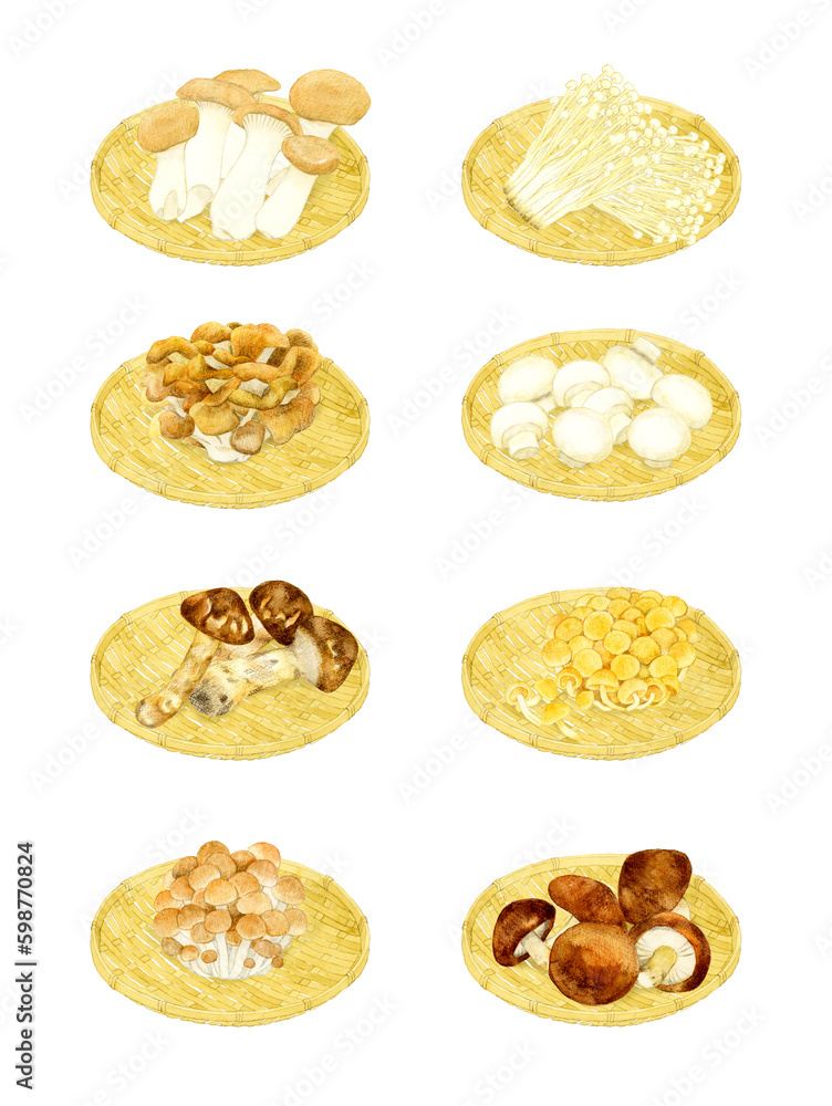 食べられるきのこの手描きイラストセット 食べられるきのこの手描きイラストセット