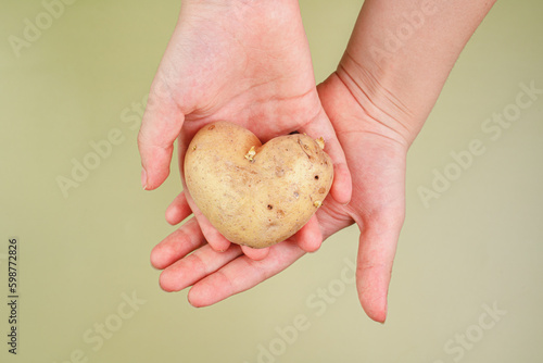 The man is holding a potato. Potato in the shape of a heart on a green background. Fresh vegetables. Harvest