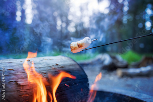 Cooking marshmallows on a bonfire in the forest.