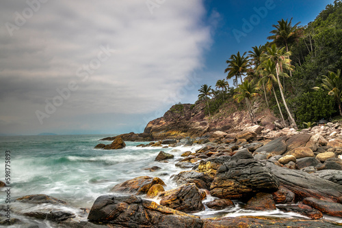 beach with trees