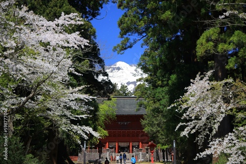 Iwakiyama Shrine in spring in JAPAN