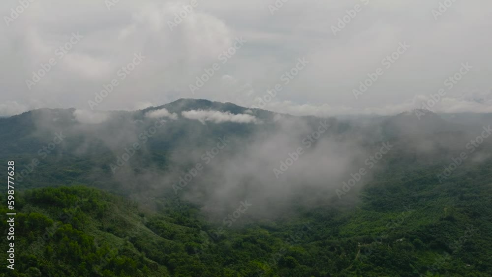 Top view of tropical landscape with mountains and jungle. Borneo, Sabah, Malaysia. Generative AI Top view of tropical landscape with mountains and jungle. Borneo, Sabah, Malaysia. Generative AI