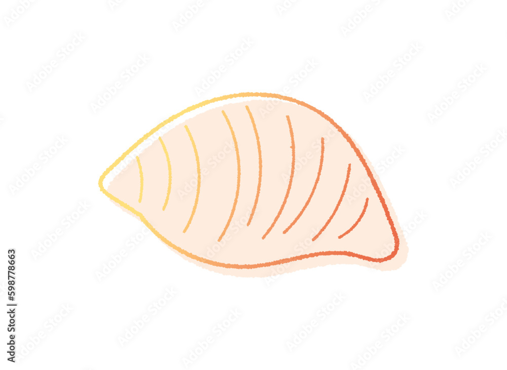 貝がらの手書き線画ベクターイラスト 貝がらの手書き線画ベクターイラスト