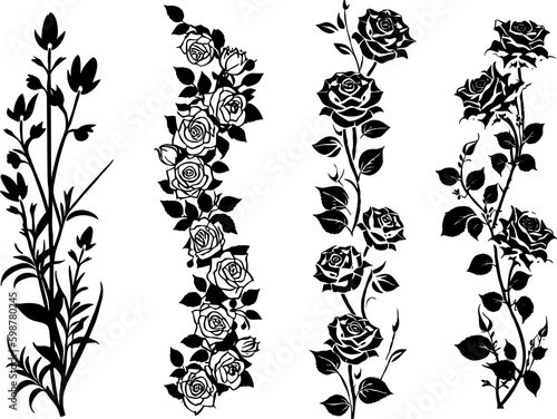 Rose Flower Vector Set Black and White