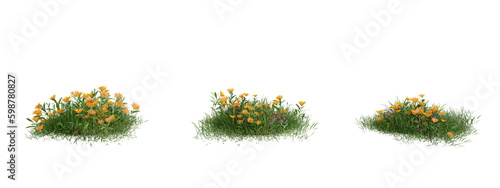 Flower common marigold on transparent background.3d rendering PNG Set.