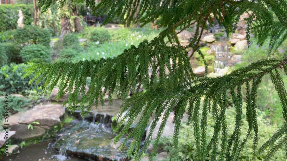 Waterfall creek with trees in green summer resort, stock footage Waterfall creek with trees in green summer resort, stock footage